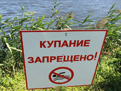 Август бьёт температурные рекорды, спасатели – тревогу